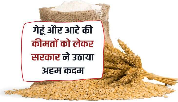 Wheat Flour Price: Government took important steps regarding wheat and flour prices