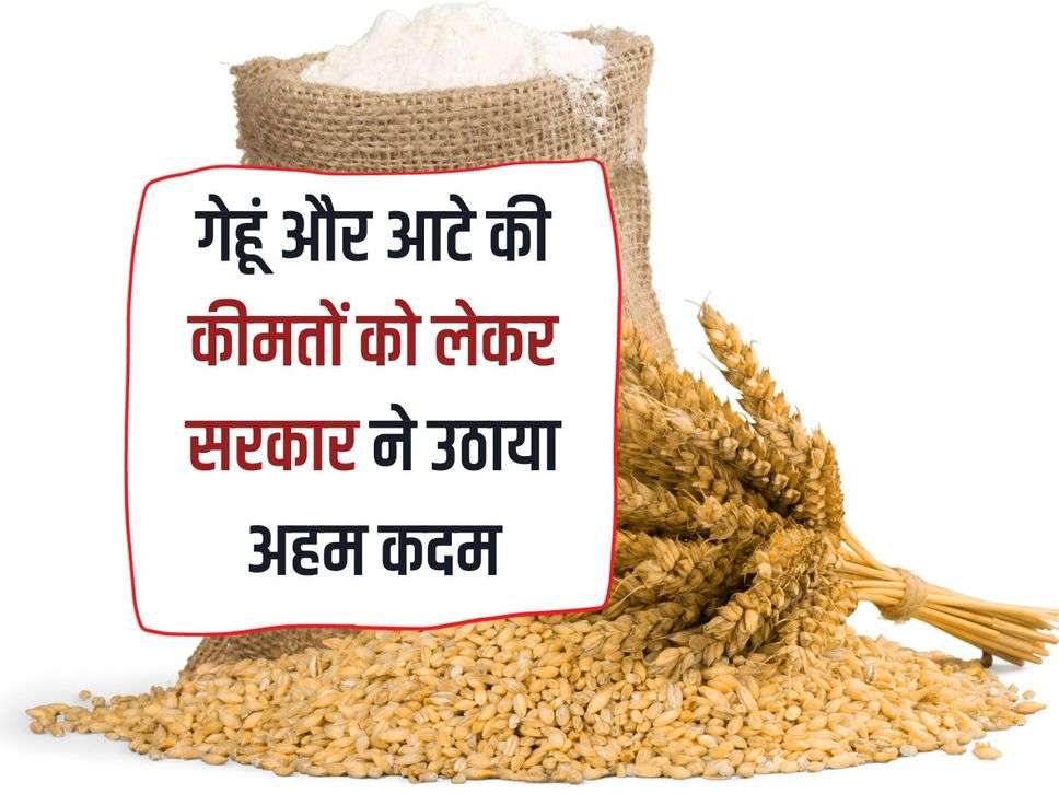 Wheat Flour Price: Government took important steps regarding wheat and flour prices