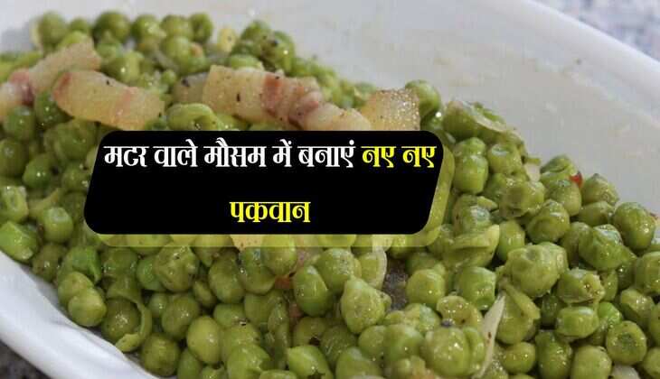 मटर वाले मौसम में बनाएं नए नए पकवान, टेस्टी डिशेज बनेगी आपकी सेहत के लिए वरदान 