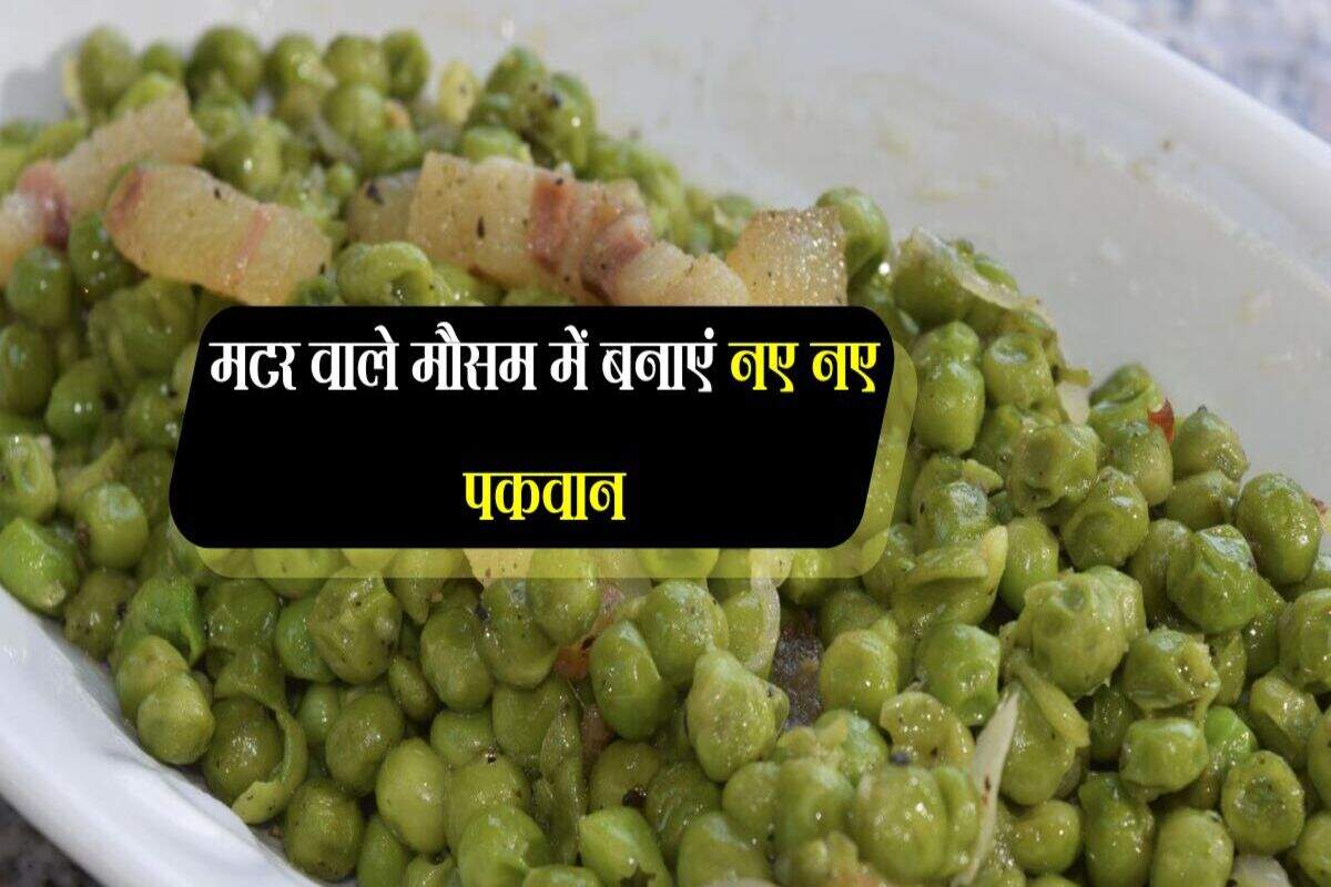 मटर वाले मौसम में बनाएं नए नए पकवान, टेस्टी डिशेज बनेगी आपकी सेहत के लिए वरदान 