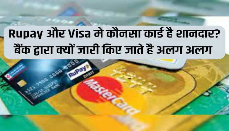 Rupay और Visa मे कौनसा कार्ड है शानदार? बैंक द्वारा क्यों जारी किए जाते है अलग अलग कार्ड 