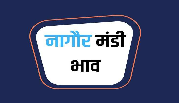 नागौर मंडी भाव 27 जनवरी 2024 : मुंग, ग्वार, जीरा, सौफ, ईसबगोल, ज्वार, सरसों, तारामीरा