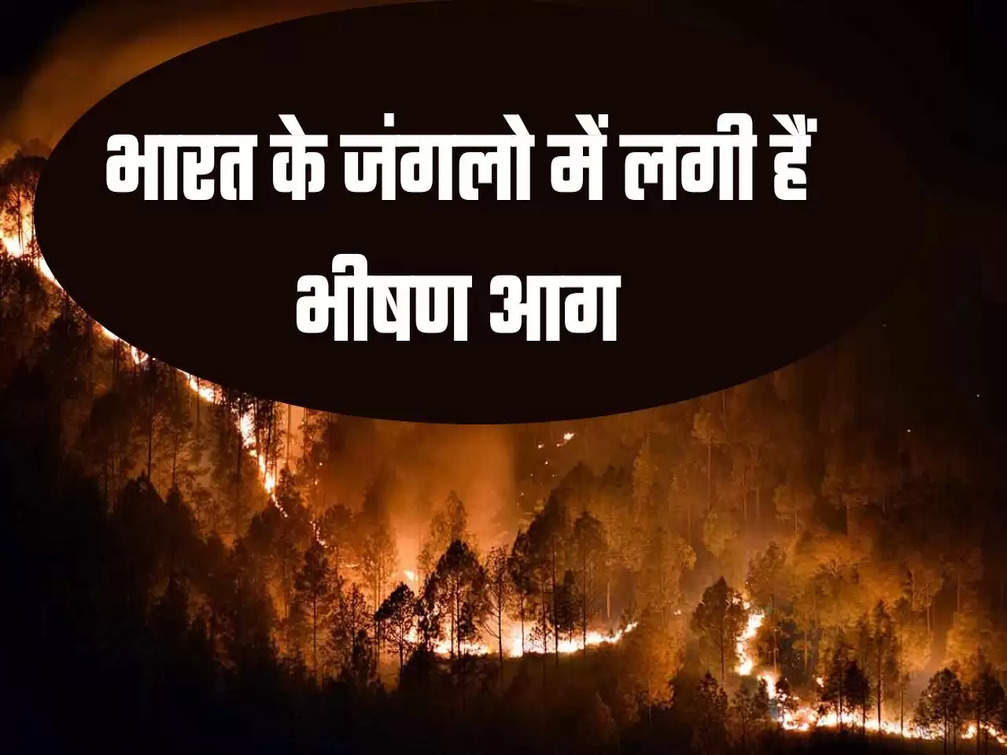 भारत के जंगलो में लगी हैं भीषण आग