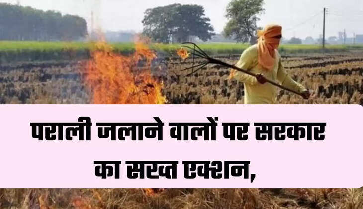 Stubble Burning Issue