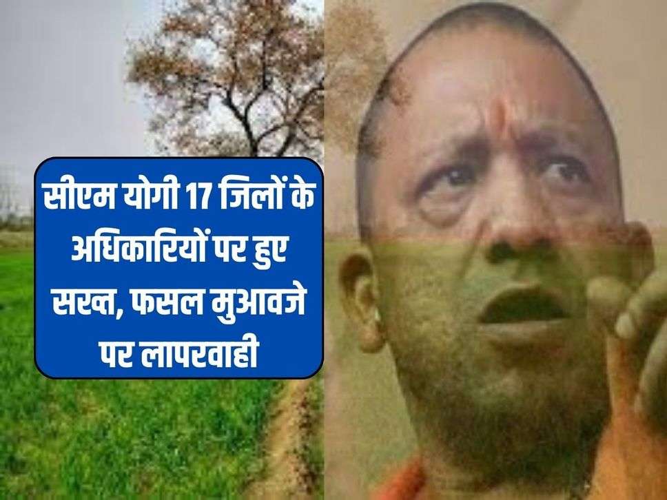 UP News : सीएम योगी 17 जिलों के अधिकारियों पर हुए सख्त, फसल मुआवजे पर लापरवाही