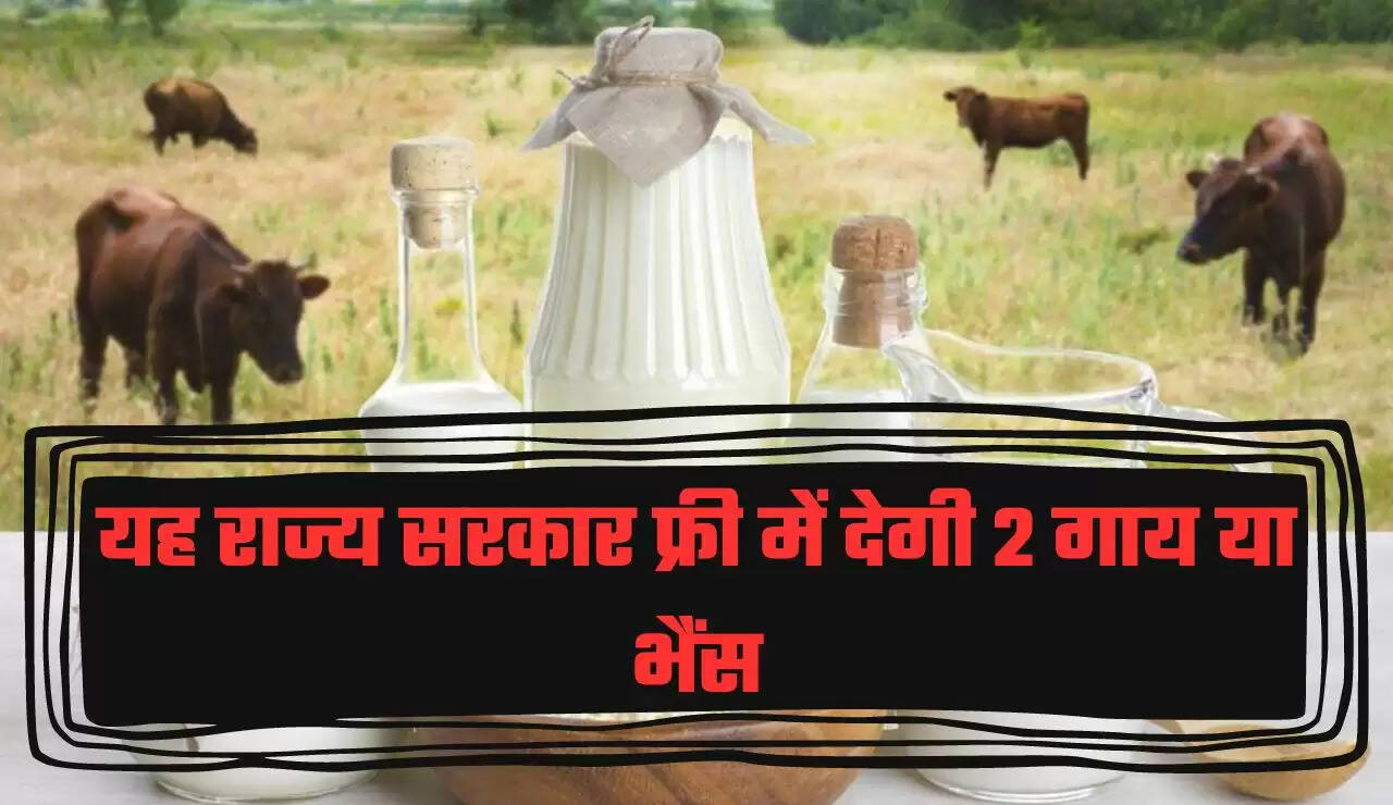 यह राज्य सरकार फ्री में देगी 2 गाय या भैंस