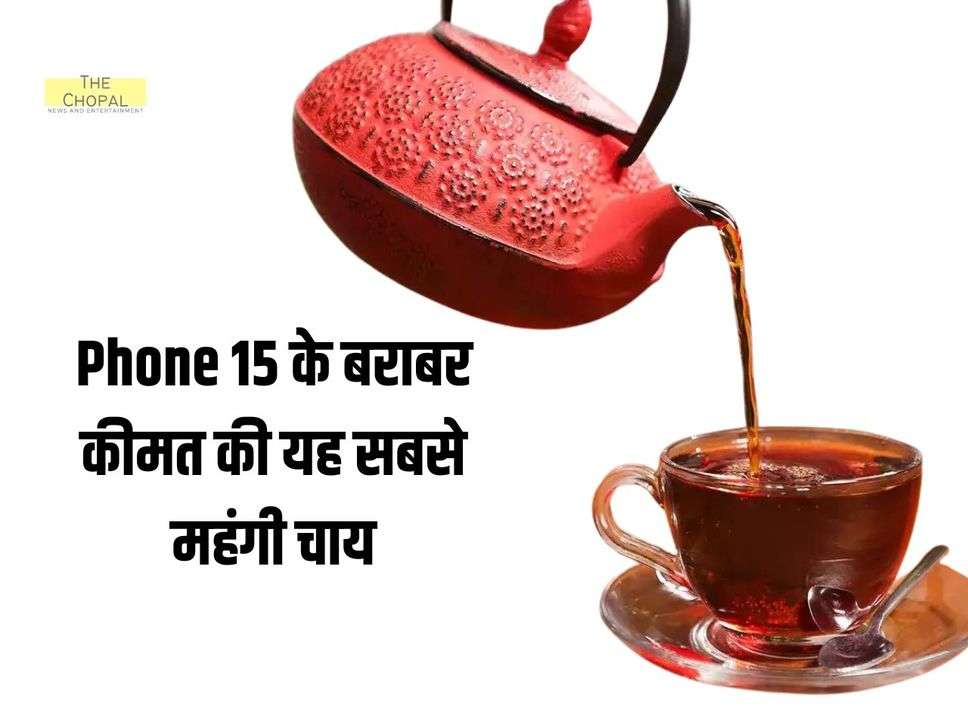 Most Expensive Tea : iPhone 15 के बराबर कीमत की यह सबसे महंगी चाय