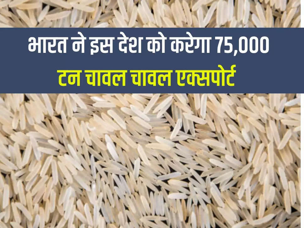 India will export 75,000 tons of rice to this country