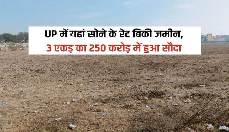 UP में यहां सोने के रेट बिकी जमीन, 3 एकड़ का 250 करोड़ में हुआ सौदा