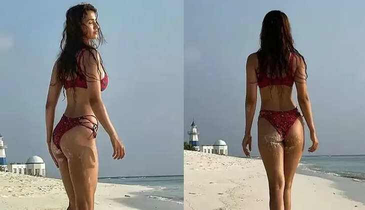 disha patni hot look 