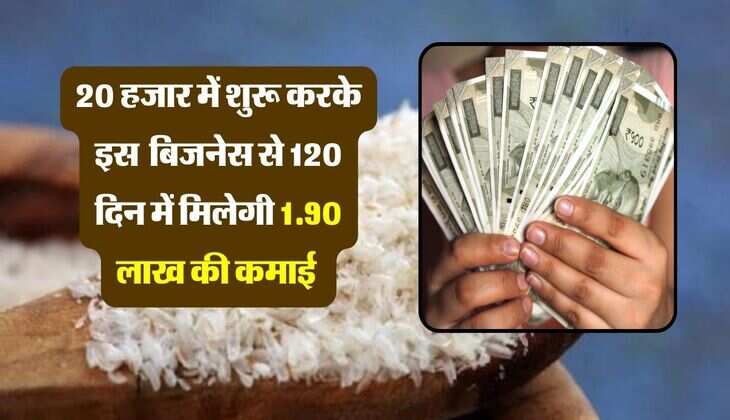 Business Idea: 20 हजार में शुरू हो जाएगा ये बिजनेस, 120 दिन में मिलेगी 1.90 लाख की कमाई 