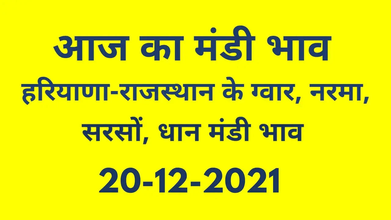Nohar Adampur Mandi Bhav 20 December 2021