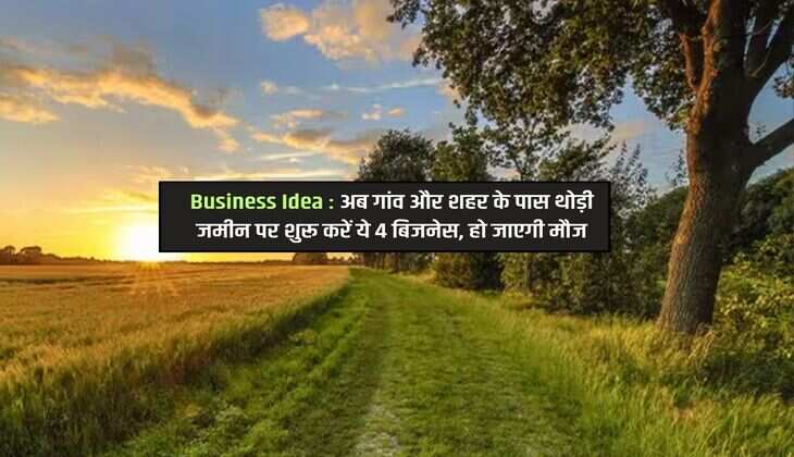Business Idea : अब गांव और शहर के पास थोड़ी जमीन पर शुरू करें ये 4 बिजनेस, हो जाएगी मौज 