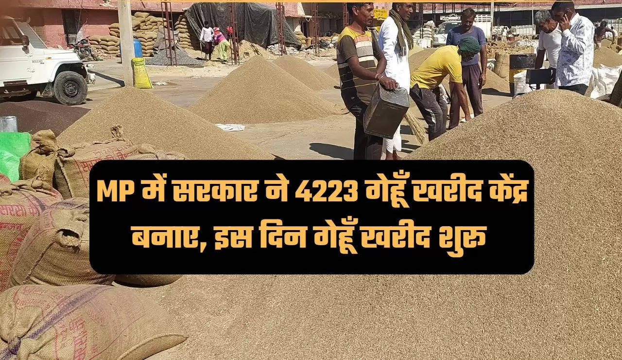 Wheat purchase. Wheat procurement in Madhya Pradesh, wheat procurement will start from March 25, MSP, Agriculture News, Agriculture News Hindi, गेहूं की खरीदी. मध्य प्रदेश में गेहूं की खरीद, 25 मार्च से शुरू होगी गेहूं की खरीद, एमएसपी, कृषि न्यूज, कृषि न्यूज हिन्दी