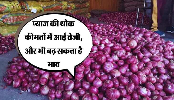 Onion: प्याज की थोक कीमतों में आई तेजी, और भी बढ़ सकता है भाव