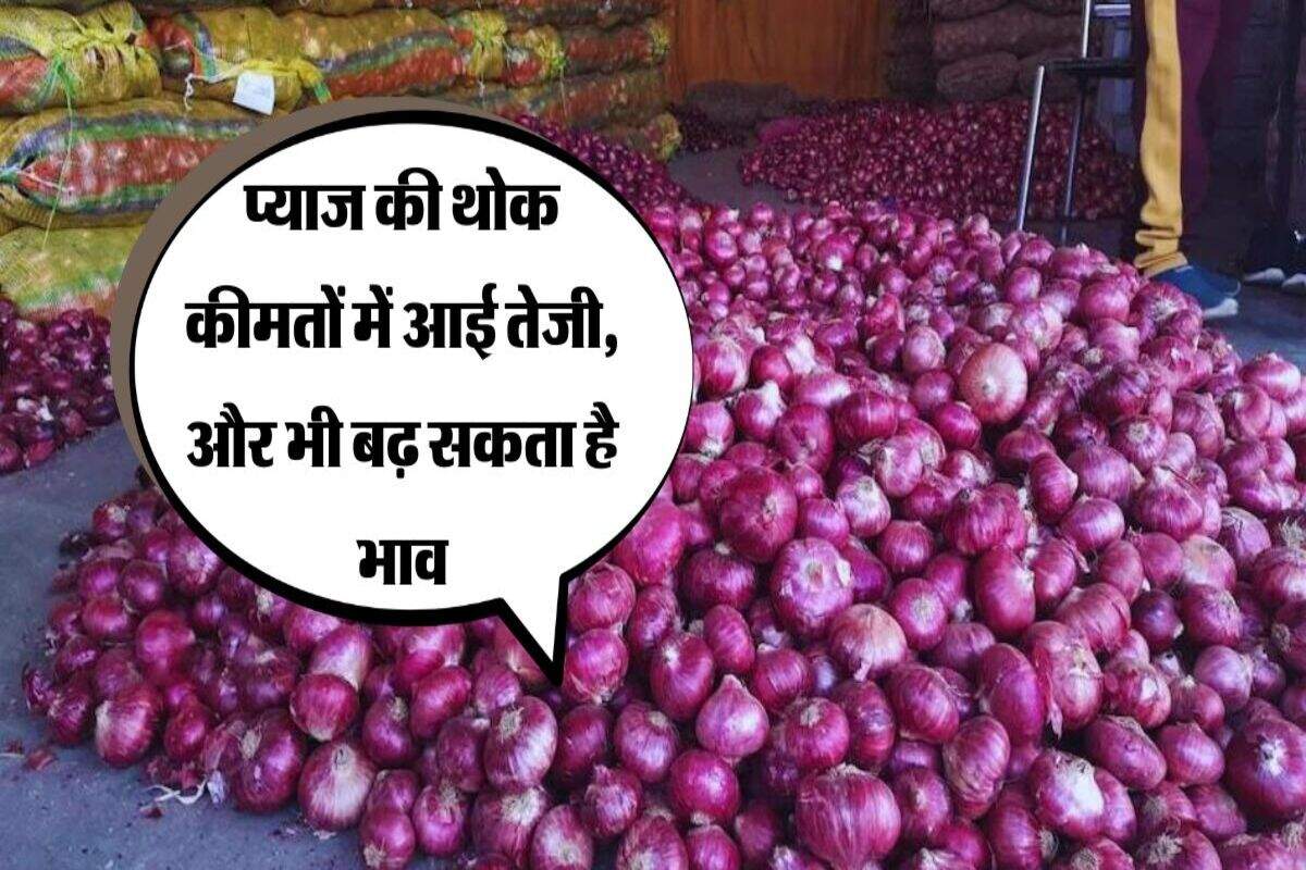 Onion: प्याज की थोक कीमतों में आई तेजी, और भी बढ़ सकता है भाव