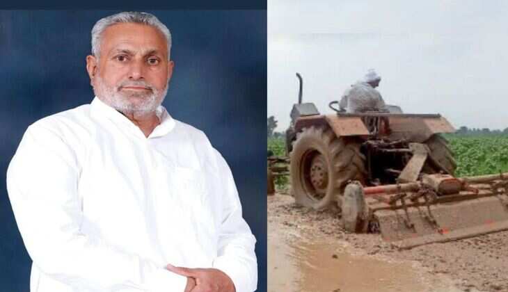 Sirsa News: नरमे की खड़ी फसल नष्ट कर रहे किसान, विधायक ने सरकार से की मुआवजा देने की मांग