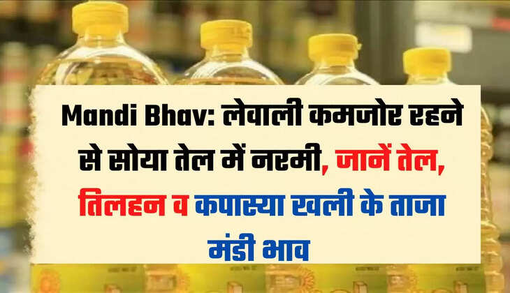 "Edible Oil Price in Indore, Cooking Oil Rate Indore, Cooking Oil price Indore, Moongfali Oil Price Indore, Oil Rates in Indore, Soybean Oil Price Indore, Soybean Oil, Palm Oil rate, Mustard Oil in Indore, Sarso Oil Price Indore, Groundnut oil Price Indore, Cooking Oil Price in Indore, Edible oil price Indore, Indore Market Oil Price, Indore News, इंदौर में तेज की कीमत, इंदौर में खाने के तेल की कीमत, इंदौर समाचार, मध्य प्रदेश समाचार,indore, madhya-pradesh, hindi news,