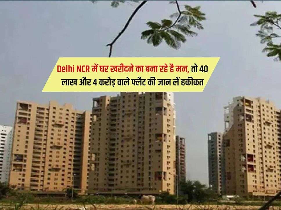 Delhi NCR में घर खरीदने का बना रहे है मन, तो 40 लाख और 4 करोड़ वाले फ्लैट की जान लें हकीकत
