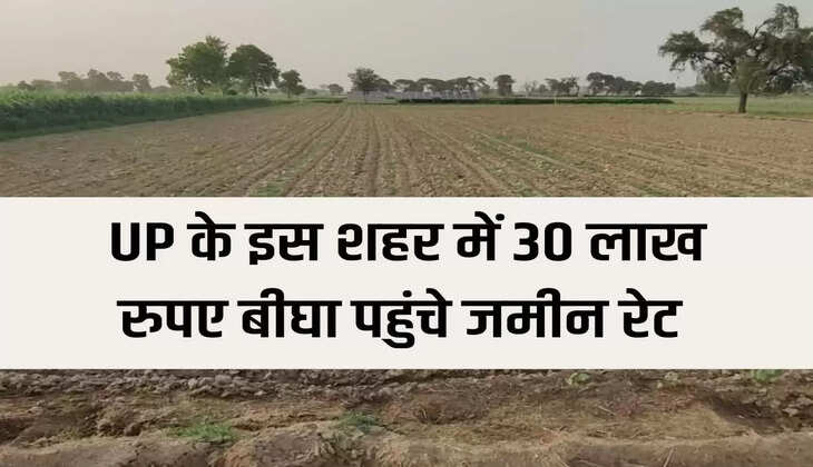 UP Land Rate