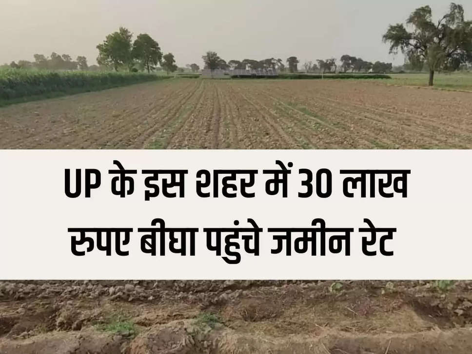 UP Land Rate