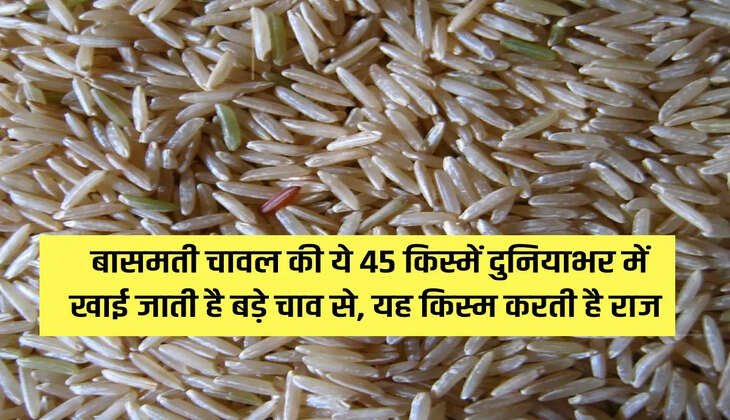 Basmati variety: These 45 varieties of Basmati rice are eaten with great enthusiasm all over the world, this variety rules