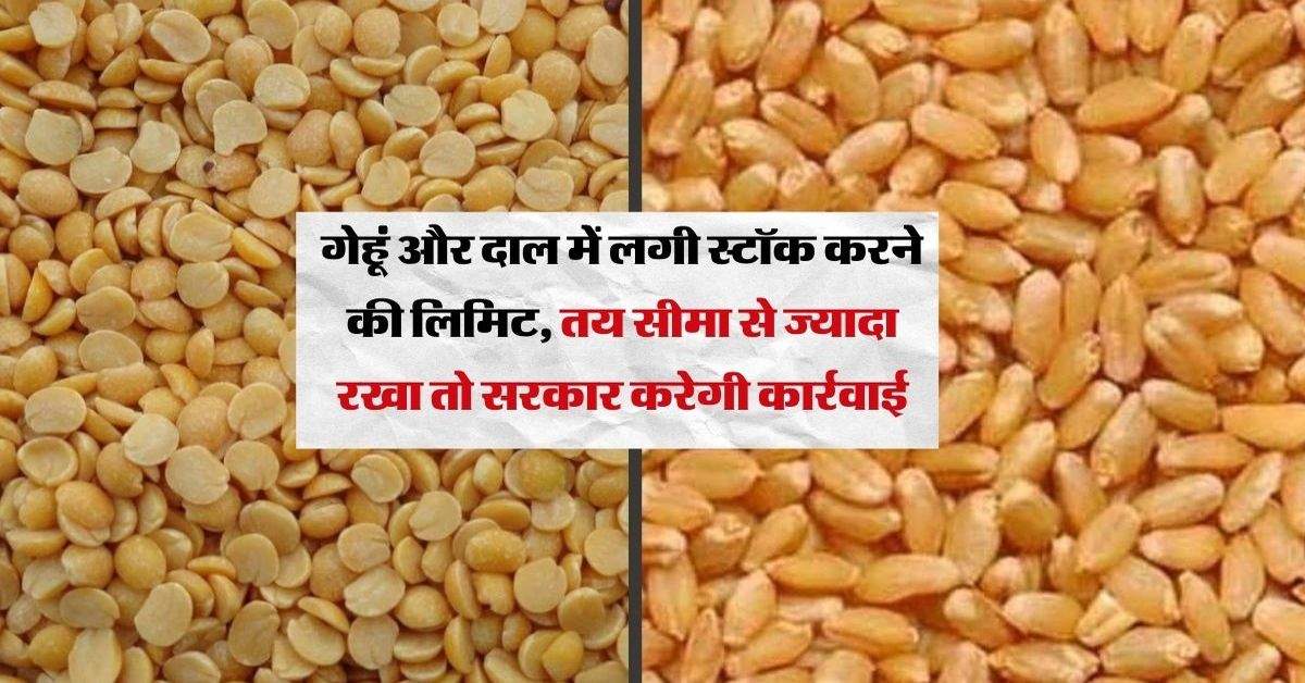 Wheat: गेहूं और दाल में लगी स्टॉक करने की लिमिट, तय सीमा से ज्यादा रखा तो सरकार करेगी कार्रवाई