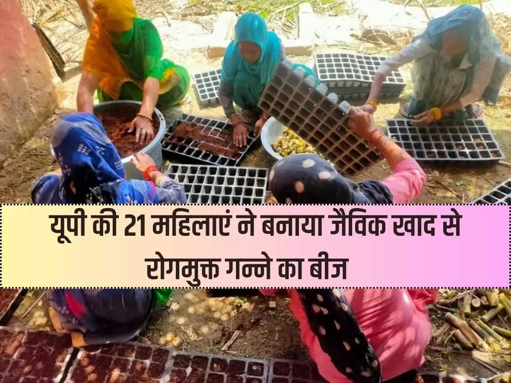 21 women of UP made disease free sugarcane seeds from organic fertilizer, Agriculture Department honored them