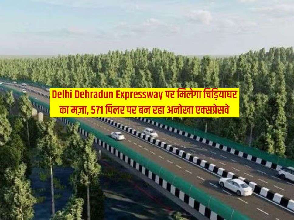 Delhi Dehradun Expressway पर मिलेगा चिड़ियाघर का मज़ा, 571 पिलर पर बन रहा अनोखा एक्सप्रेसवे