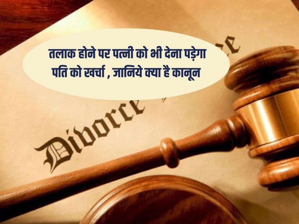 Divorce Law : तलाक होने पर पत्नी को भी देना पड़ेगा पति को खर्चा , जानिये क्या है कानून