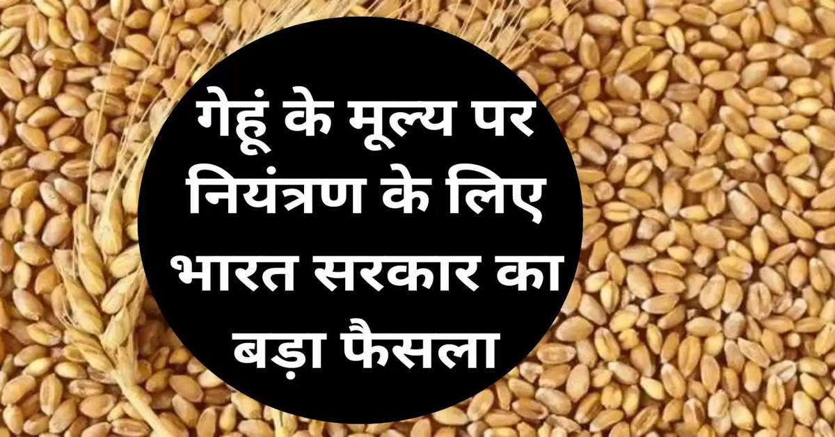 WHEAT: गेहूं के मूल्य पर नियंत्रण के लिए भारत सरकार का बड़ा फैसला, ई-ऑक्शन के छठे चरण जरिए होगी गेहू की ब्रिकी  