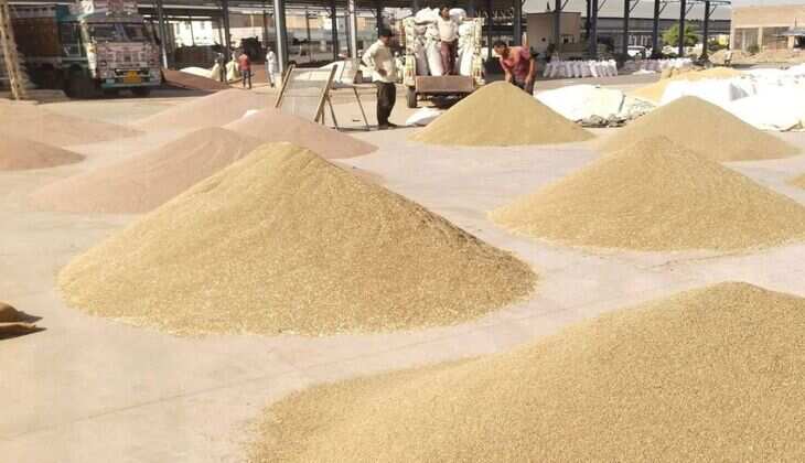 Merta Mandi Bhav: जीरा, सौंफ और सुवा के भाव धड़ाम, चना 40 रुपए तेज बिका