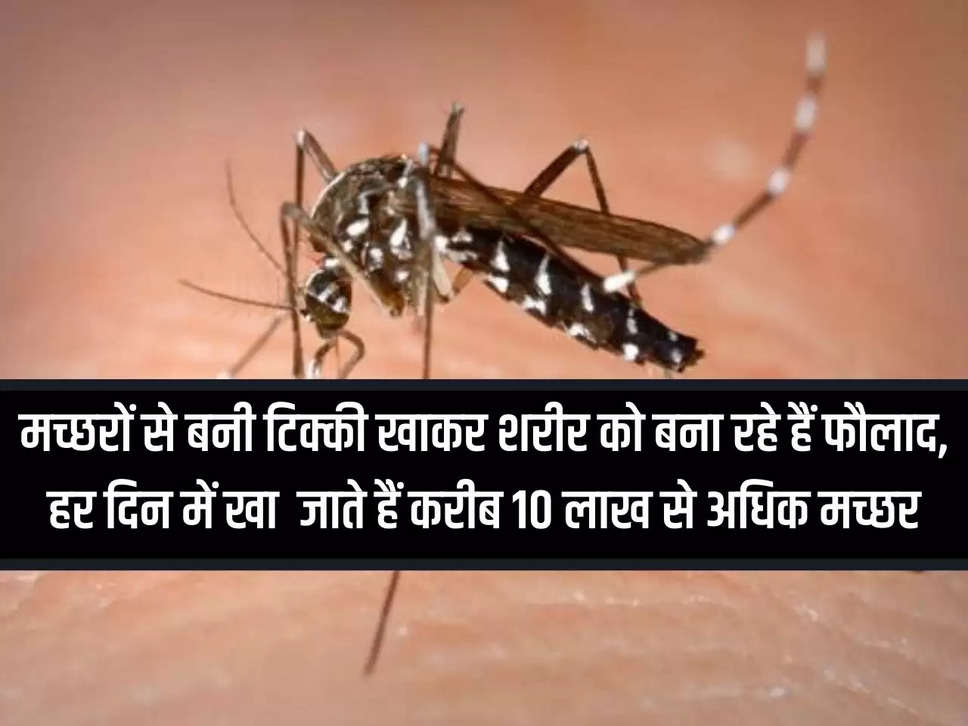 By eating tikkis made of mosquitoes, they are making their body strong, they eat more than 10 lakh mosquitoes every day.