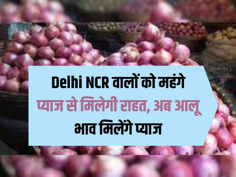 People of Delhi NCR will get relief from expensive onions, now they will get onions at the price of potatoes.