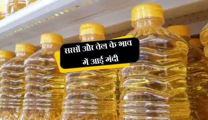 सरसों और तेल के भाव में आई मंदी, सोयाबीन तिलहन में बनी तेजी, जानिए नए भाव