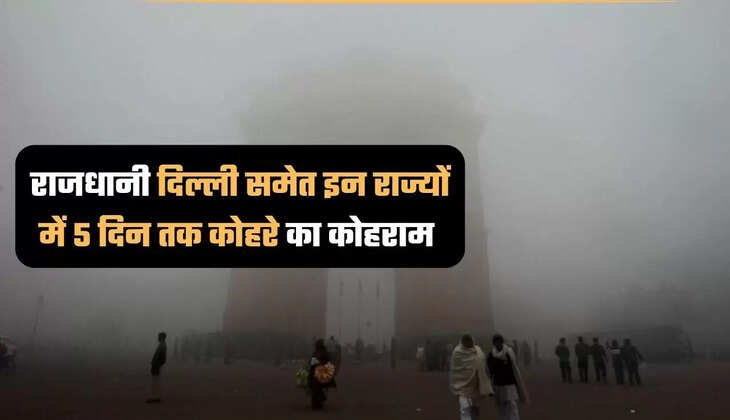 दिल्ली मौसम न्यूज, दिल्ली ठंडी टेंपरेचर, दिल्ली कोहरा, delhi winter forecast, delhi weather today, delhi weather news, delhi weather forecast, delhi fog today, delhi fog news, delhi fog forecast,                                 Metro News, Metro News in Hindi, Latest Metro News, Metro Headlines, मेट्रो Samachar