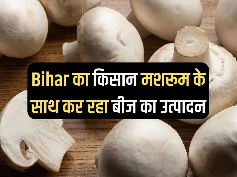 Bihar farmer is producing seeds with mushrooms, read Sushma's success story