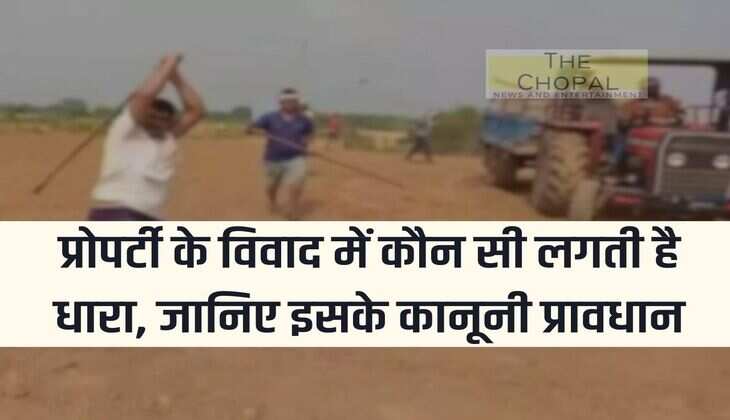 Land Occupation: Which section is applicable in property dispute, know its legal provisions