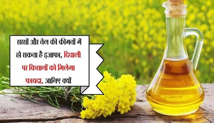 Sarso: सरसों और तेल की कीमतों में हो सकता है इजाफा, दिवाली पर किसानों को मिलेगा फायदा, जानिए क्यों
