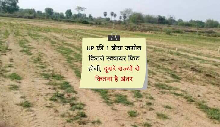 UP की 1 बीघा जमीन कितने स्क्वायर फिट होगी, दूसरे राज्यों से कितना है अंतर, जानिए पूरा गणित