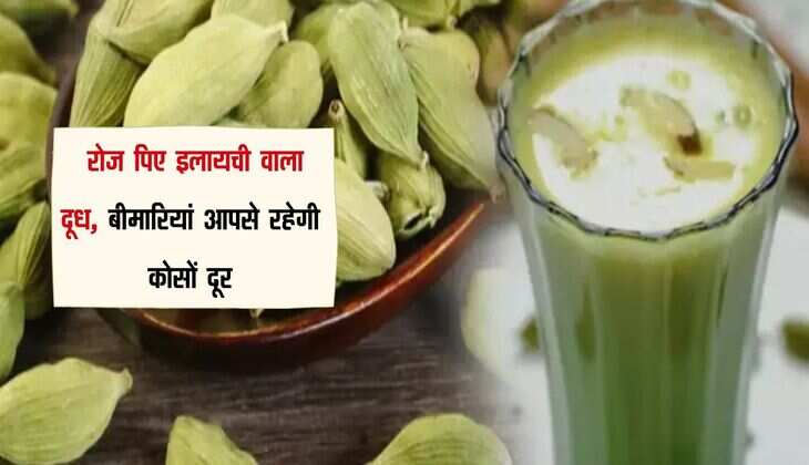 Health Benefits: रोज पिए इलायची वाला दूध, बीमारियां आपसे रहेगी कोसों दूर, डेली डाइट का बना ले हिस्सा