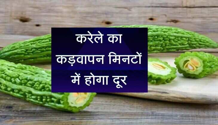 करेले का कड़वापन मिनटों में होगा दूर, आसान सी 5 टिप्स को जरूर लें आजमा 