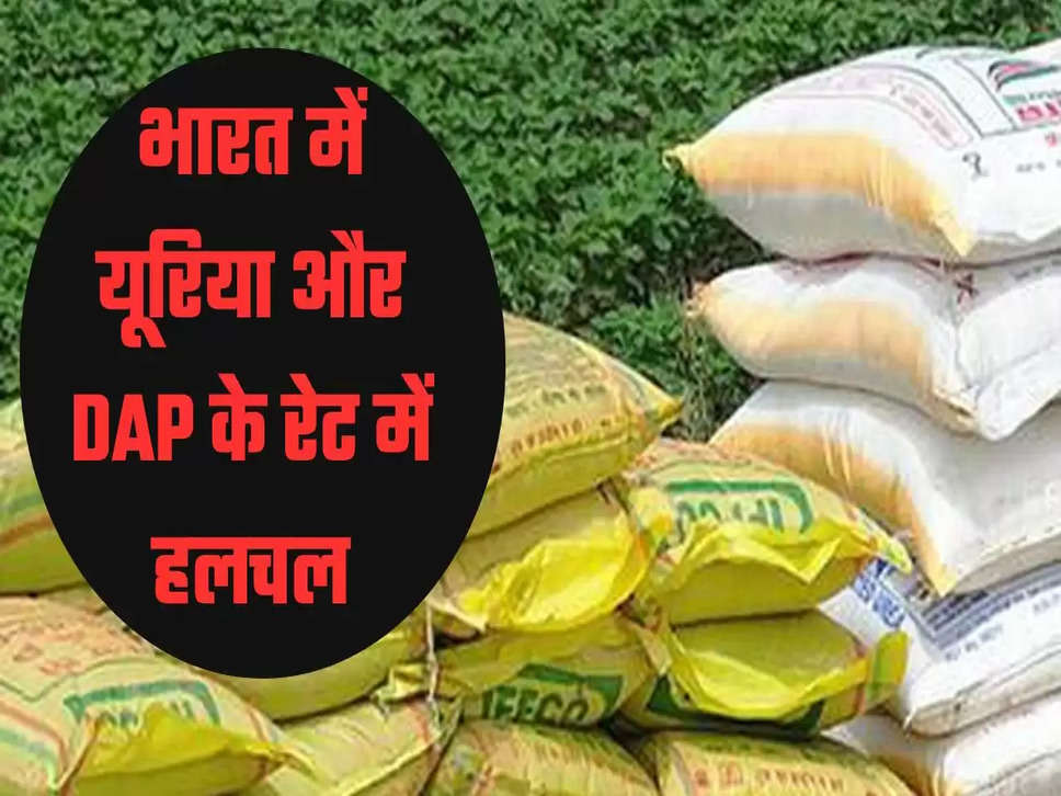 भारत में यूरिया और DAP के रेट में हलचल