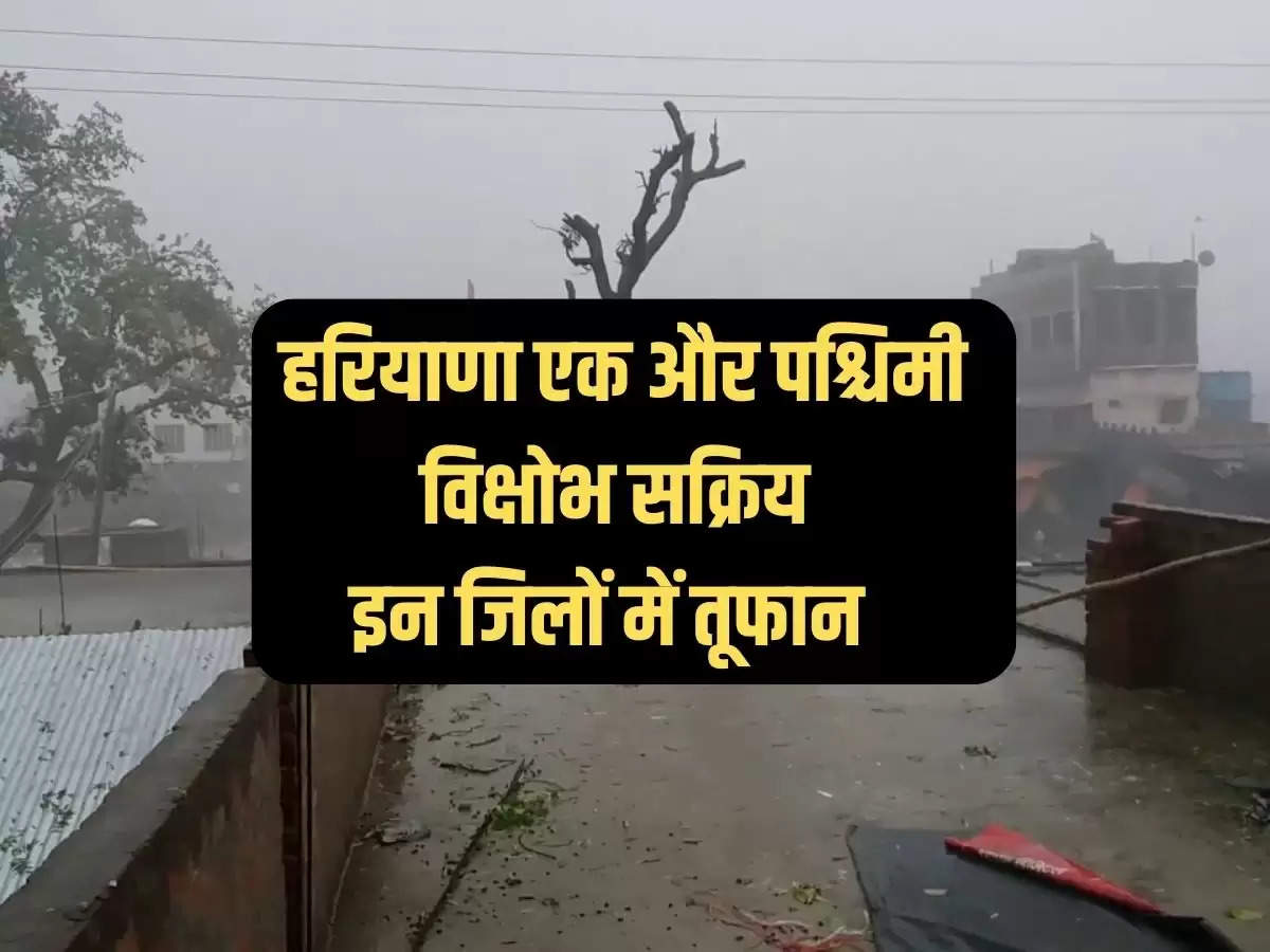 Hisar, haryana, another western disturbance active, chances of rain again, rain, know weather of coming days, western disturbance, weather, charkhi dadri, haryana weather, Hisar News in Hindi, Latest Hisar News in Hindi, Hisar Hindi Samachar"