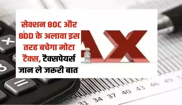 सेक्शन 80C और 80D के अलावा इस तरह बचेगा मोटा टैक्स, टैक्सपेयर्स जान ले जरूरी बात 