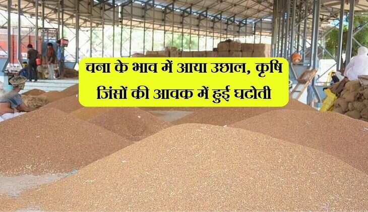 Kota Mandi Bhav: चना के भाव में आया उछाल, कृषि जिंसों की आवक में हुई घटोती