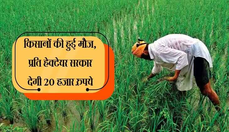 किसानों की हुई मौज, प्रति हेक्टेयर सरकार देगी 20 हजार रुपये