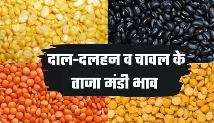 Indore market, Sanyogita Ganj grain market, pulses, pulses market rate, today's market rate, Indore market, jaggery market rate, masoor dal, toor dal, agriculture news, agriculture news Hindi, इंदौर मंडी, संयोगिता गंज अनाज मंडी, दलहन, दाल का मंडी रेट, आज का मंडी रेट, इंदौर मंडी, गुड़ का मंडी रेट, मसूर दाल, तूअर दाल, कृषि न्यूज, कृषि न्यूज हिन्दी