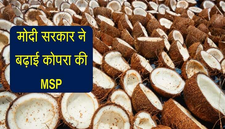 मोदी सरकार ने बढ़ाई कोपरा की MSP, अब इस रेट पर होगी फसल की खरीद