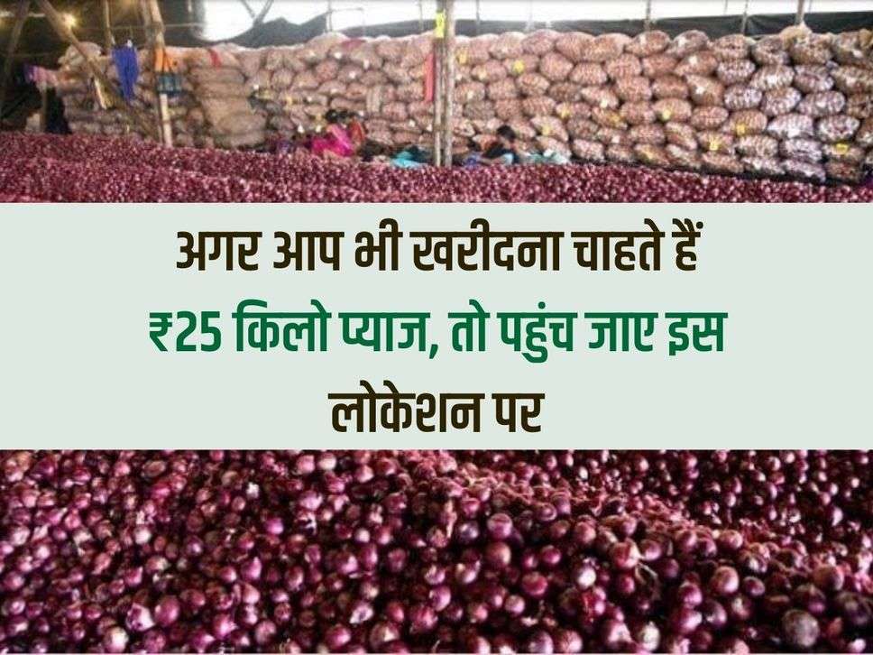 If you also want to buy onion for ₹ 25 kg, then reach this location.